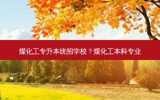 煤化工专升本统招学校？煤化工本科专业