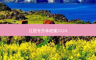 江西专升本政策2024
