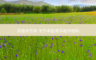 其他专升本 专升本能考其他学校吗