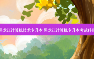 黑龙江计算机技术专升本 黑龙江计算机专升本考试科目