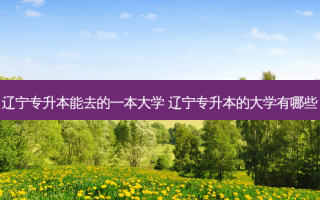 辽宁专升本能去的一本大学 辽宁专升本的大学有哪些