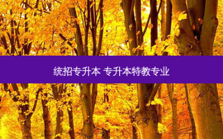 统招专升本 专升本特教专业