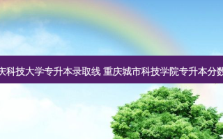 重庆科技大学专升本录取线 重庆城市科技学院专升本分数线