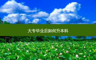 大专毕业后如何升本科