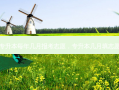 专升本每年几月报考志愿，专升本几月填志愿