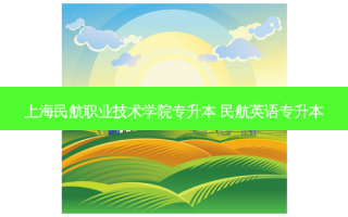 上海民航职业技术学院专升本 民航英语专升本