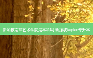 新加坡南洋艺术学院是本科吗 新加坡kaplan专升本