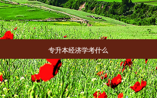 专升本经济学考什么