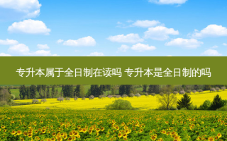 专升本属于全日制在读吗 专升本是全日制的吗