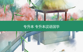 专升本 专升本汉语国学