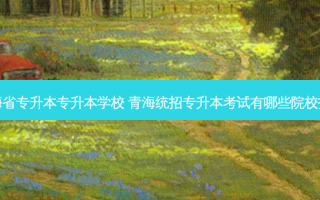 青海省专升本专升本学校 青海统招专升本考试有哪些院校招生