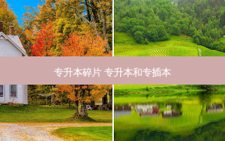 专升本碎片 专升本和专插本