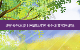 统招专升本能上网课吗江苏 专升本要买网课吗