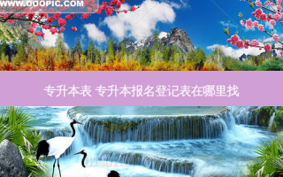 专升本表 专升本报名登记表在哪里找