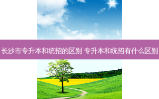 长沙市专升本和统招的区别 专升本和统招有什么区别