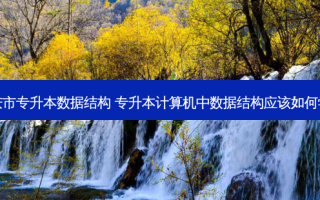 重庆市专升本数据结构 专升本计算机中数据结构应该如何学习