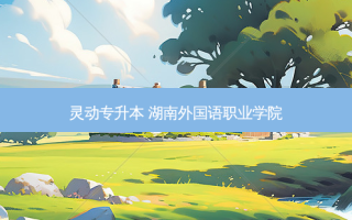 灵动专升本 湖南外国语职业学院