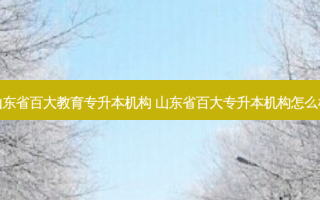 山东省百大教育专升本机构 山东省百大专升本机构怎么样