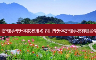四川护理学专升本院校排名 四川专升本护理学校有哪些学校