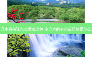 专升本身份证怎么做成文件 专升本的身份证照片是怎么弄