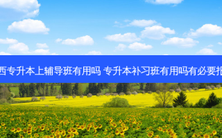山西专升本上辅导班有用吗 专升本补习班有用吗有必要报吗