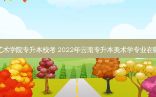 云南艺术学院专升本校考 2022年云南专升本美术学专业在哪考试
