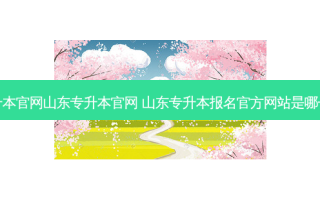 专升本官网山东专升本官网 山东专升本报名官方网站是哪一个