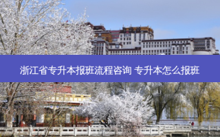 浙江省专升本报班流程咨询 专升本怎么报班