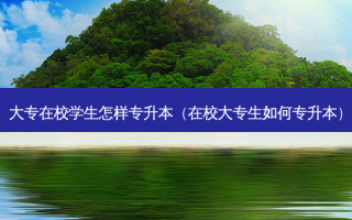 大专在校学生怎样专升本（在校大专生如何专升本）