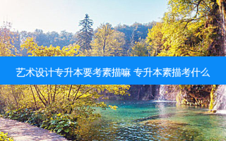 艺术设计专升本要考素描嘛 专升本素描考什么