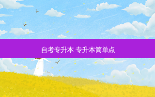 自考专升本 专升本简单点