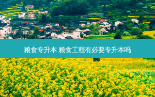 粮食专升本 粮食工程有必要专升本吗