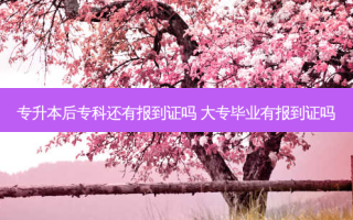 专升本后专科还有报到证吗 大专毕业有报到证吗