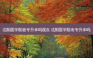 沈阳医学院收专升本吗现在 沈阳医学院有专升本吗