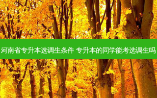 河南省专升本选调生条件 专升本的同学能考选调生吗
