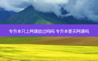 专升本只上网课能过吗吗 专升本要买网课吗