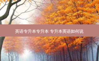 英语专升本专升本 专升本英语如何说