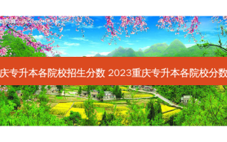 重庆专升本各院校招生分数 2023重庆专升本各院校分数线