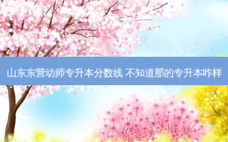 山东东营幼师专升本分数线 不知道那的专升本咋样