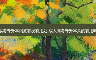 成考专升本到底有没有用处 成人高考专升本真的有用吗