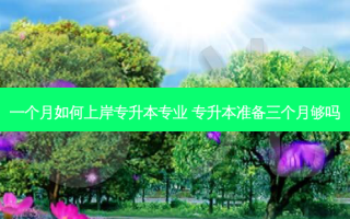 一个月如何上岸专升本专业 专升本准备三个月够吗