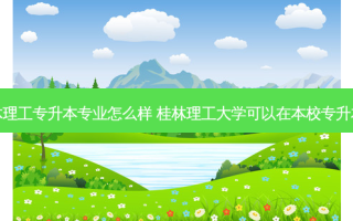 桂林理工专升本专业怎么样 桂林理工大学可以在本校专升本吗