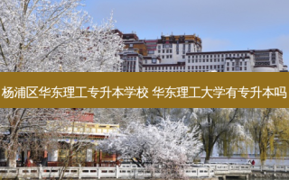 杨浦区华东理工专升本学校 华东理工大学有专升本吗
