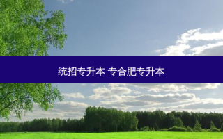 统招专升本 专合肥专升本