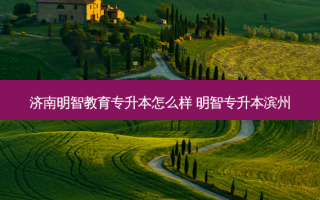 济南明智教育专升本怎么样 明智专升本滨州