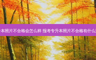 专升本照片不合格会怎么样 报考专升本照片不合格有什么影响