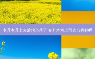专升本升上去后想当兵了 专升本考上再去当兵好吗