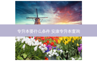 专升本要什么条件 安康专升本查询