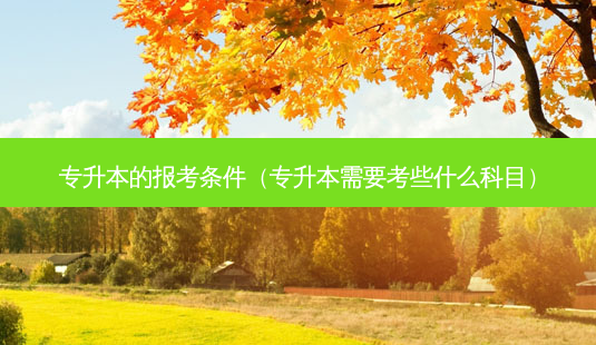 专升本的报考条件(专升本需要考些什么科目)-第1张图片-天智网 专升本的报考条件(专升本需要考些什么科目)-第1张图片-天智网