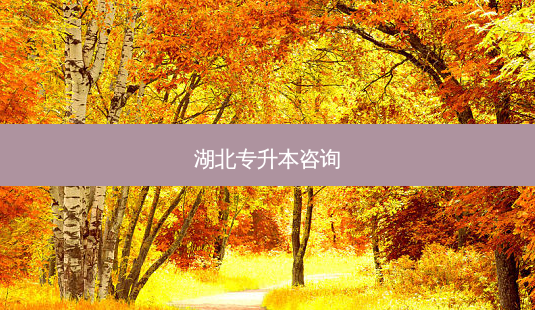湖北专升本咨询-第1张图片-天智网 湖北专升本咨询-第1张图片-天智网